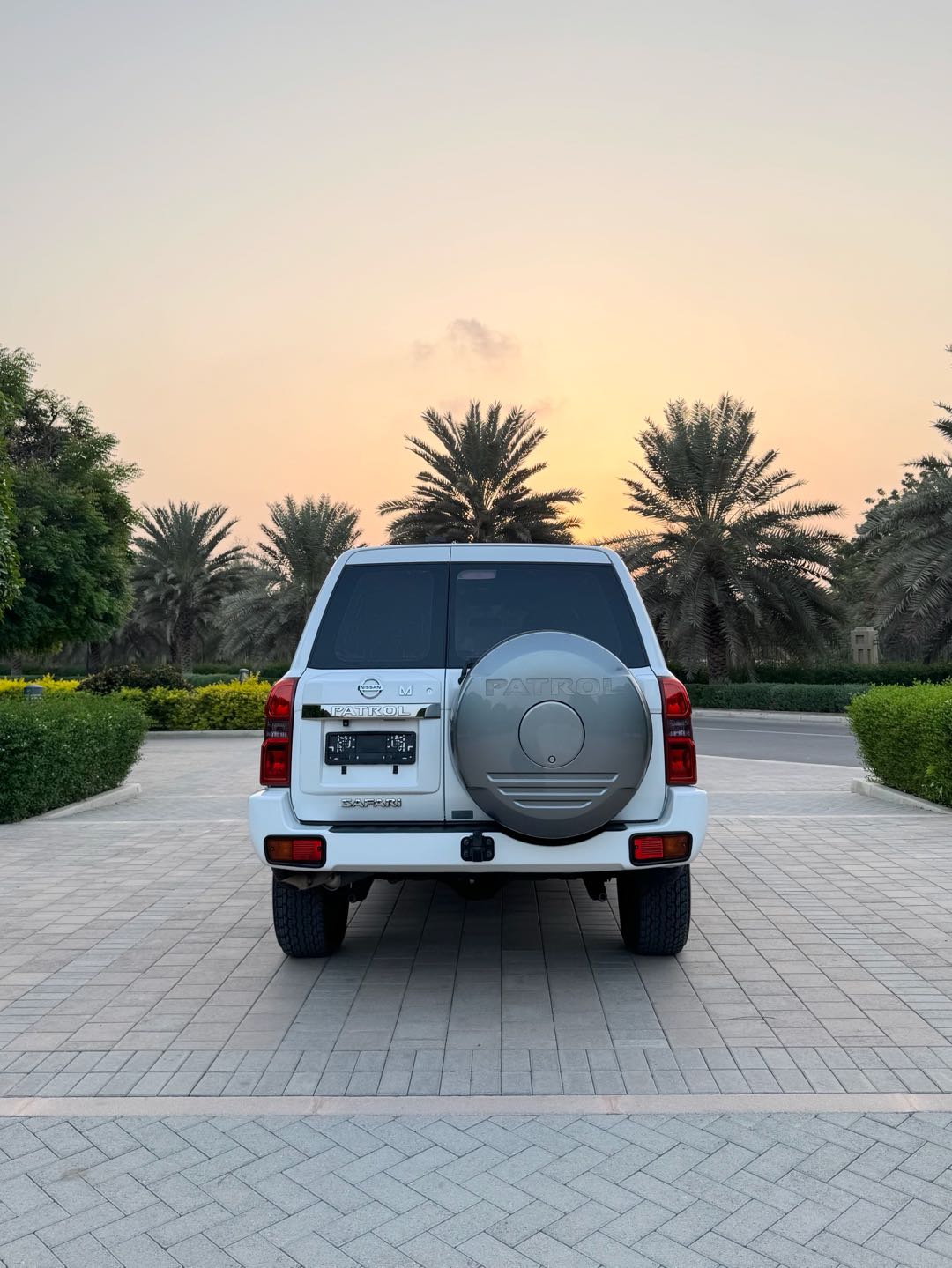 Car Image 2019 NISSAN SAFARI 