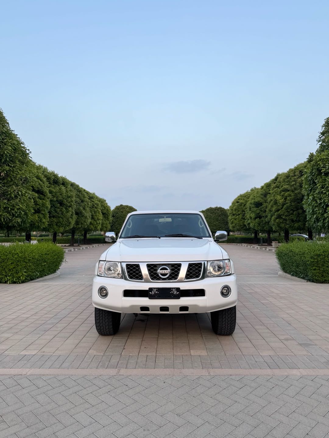 Car Image 2019 NISSAN SAFARI 