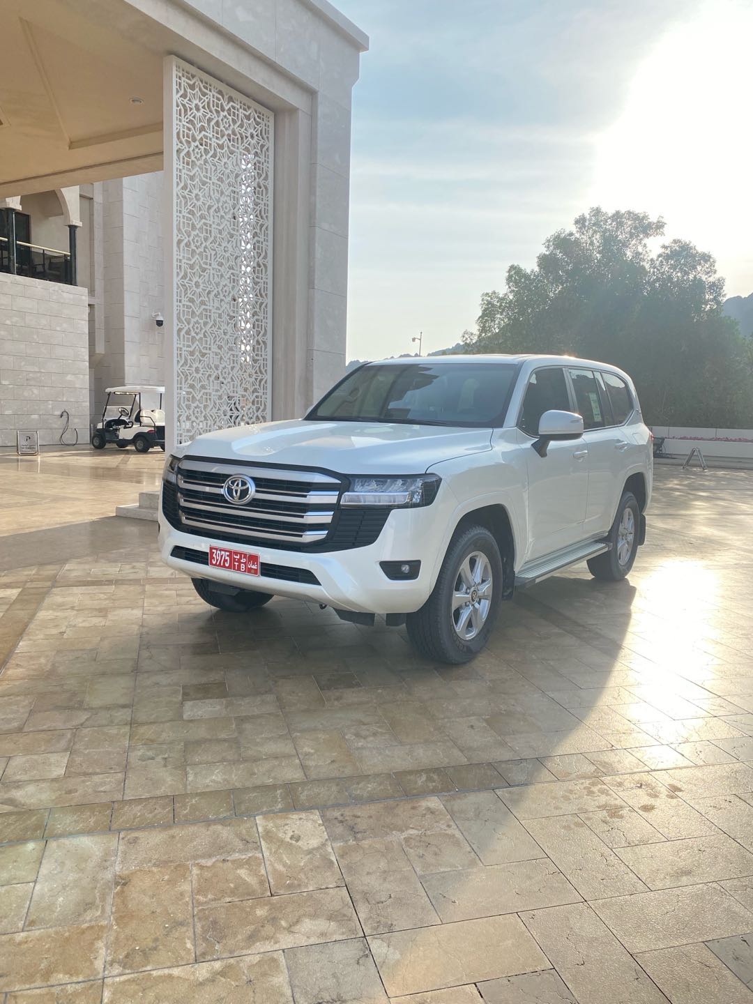 TOYOTA LAND CRUISER 2024