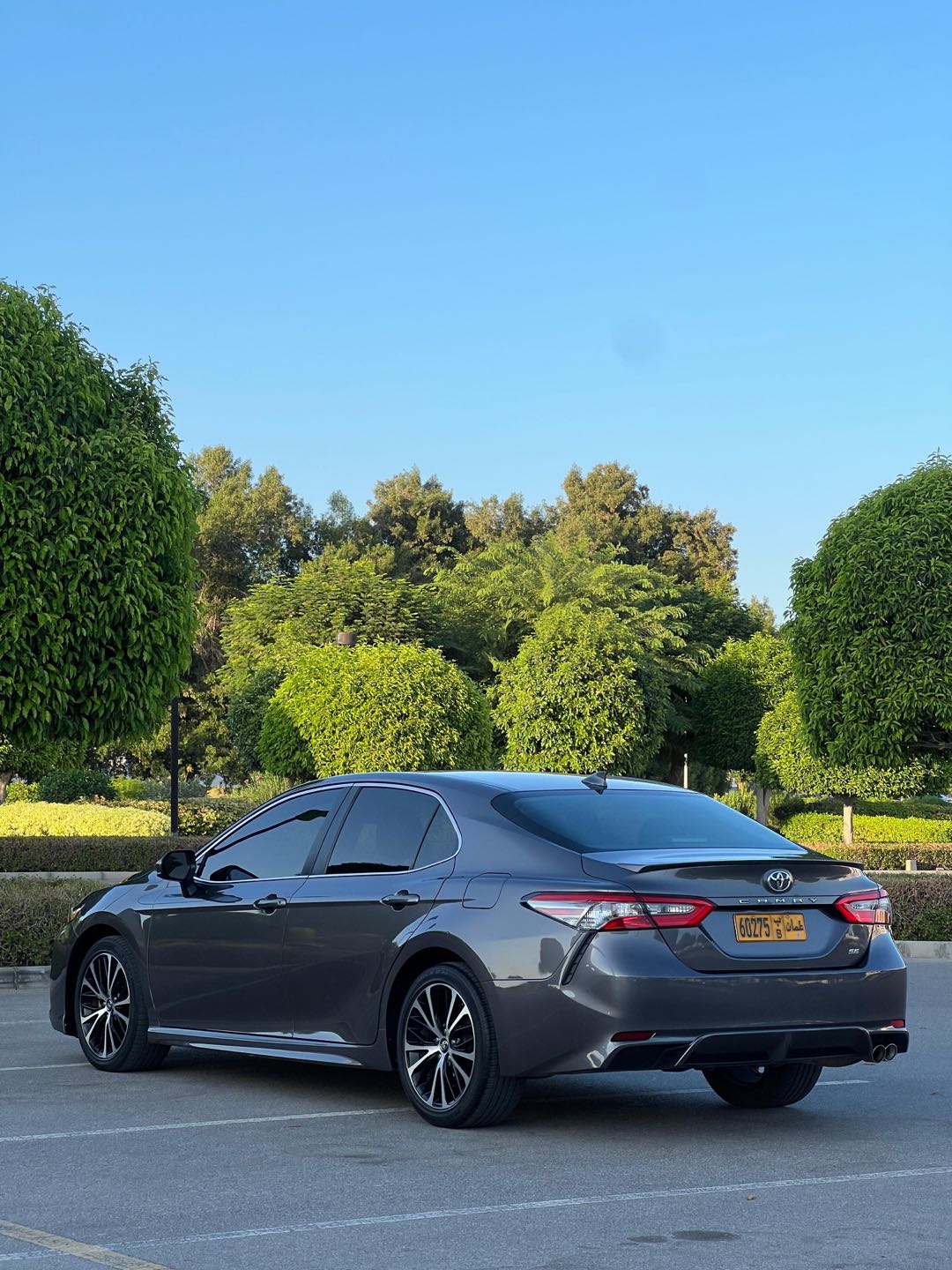 Car Image 2019 TOYOTA CAMRY SE