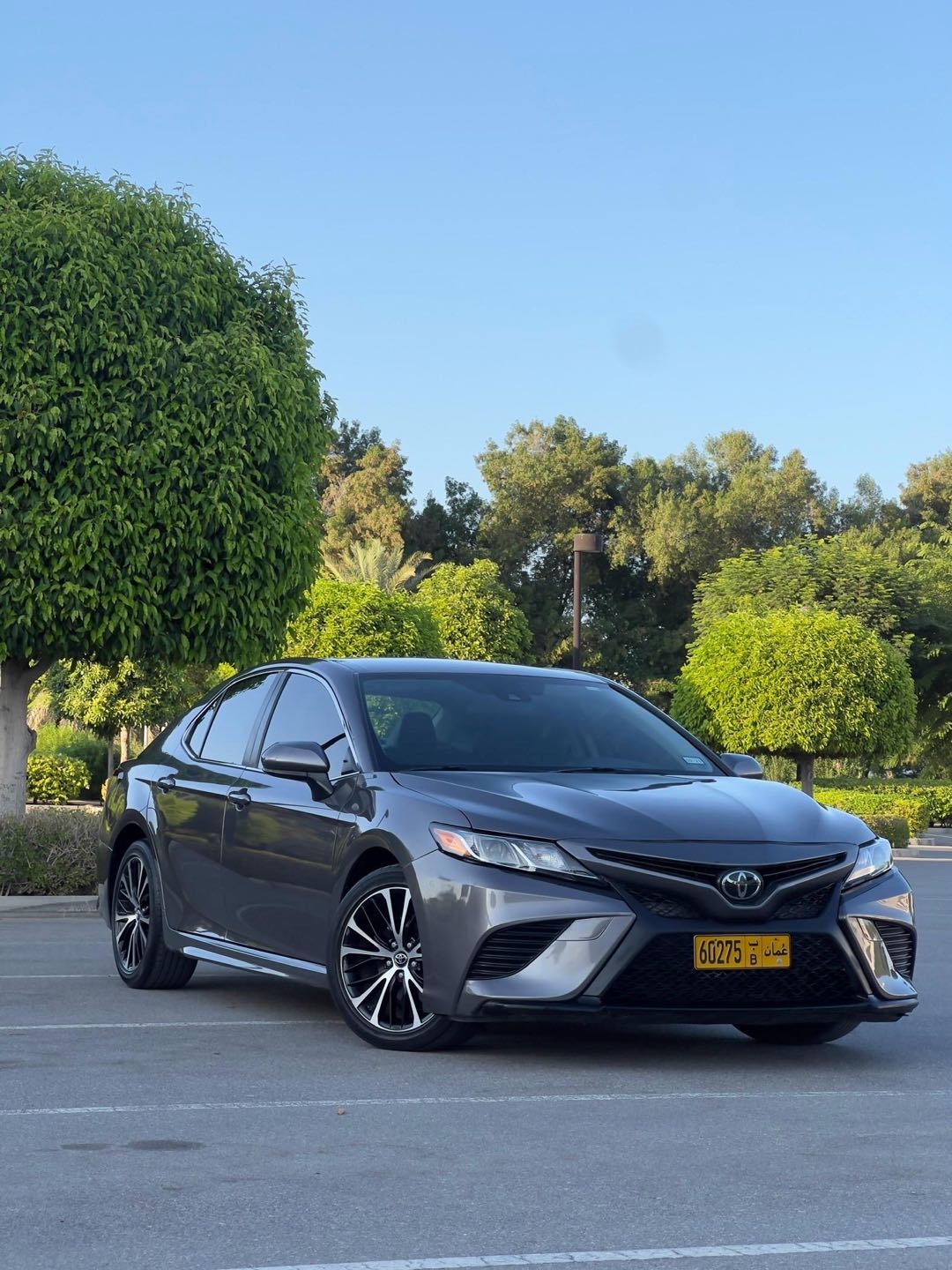 Car Image 2019 TOYOTA CAMRY SE