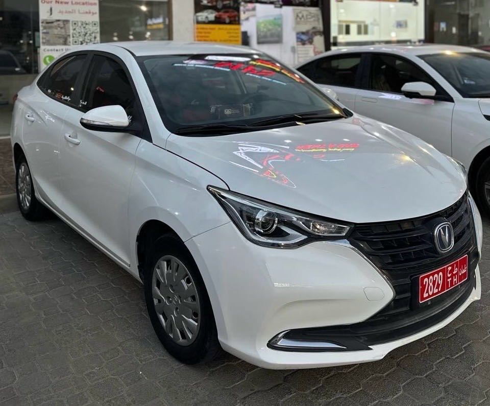 تشانجان السفن 2024
