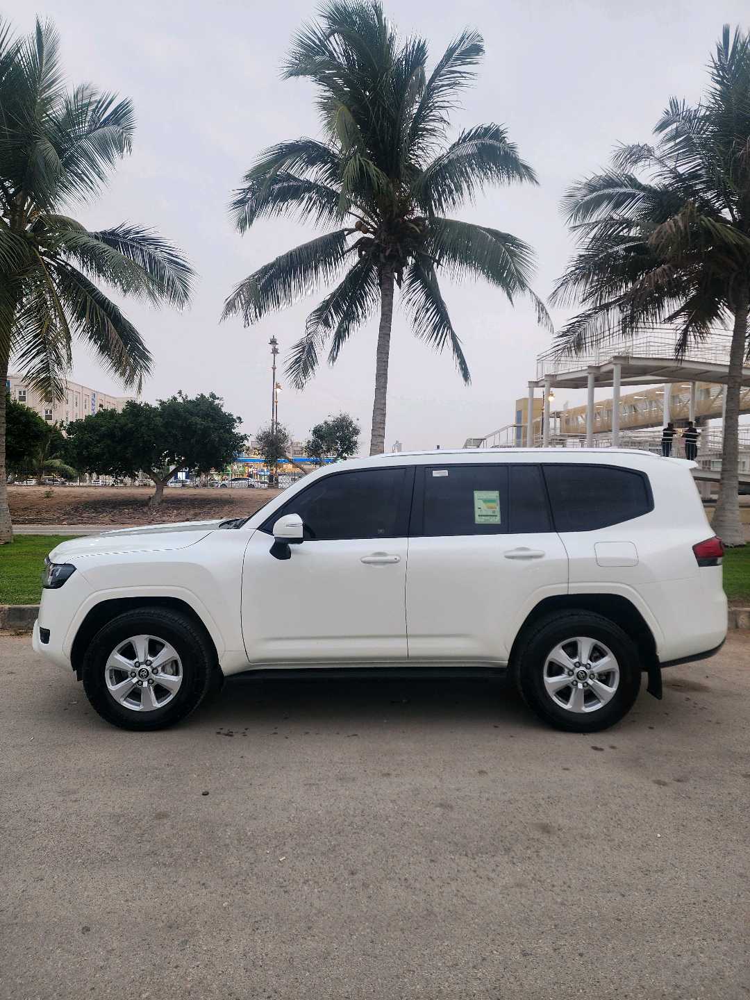 TOYOTA LAND CRUISER 2024