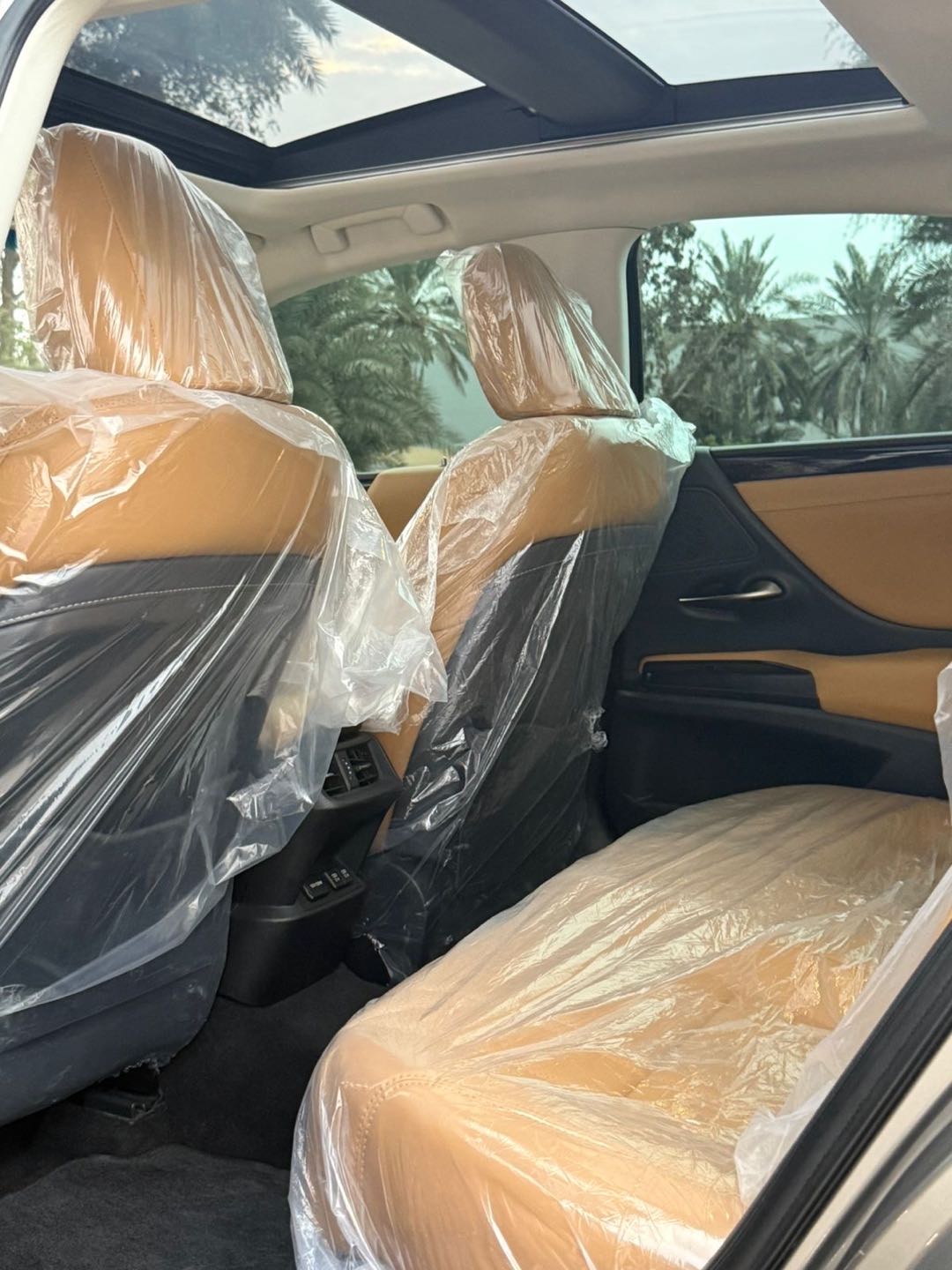 Car Image 2019 LEXUS ES 350