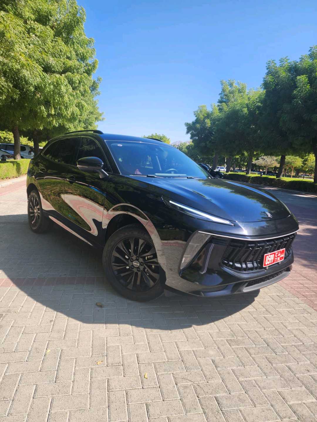 FORTHING T5 EVO 2025