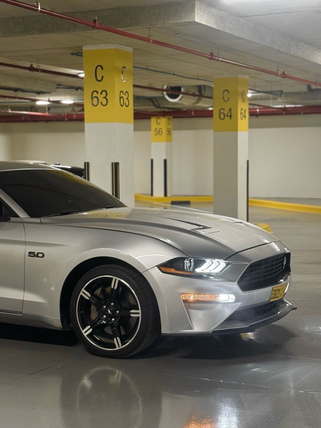 Car Image 2019 FORD MUSTANG GT