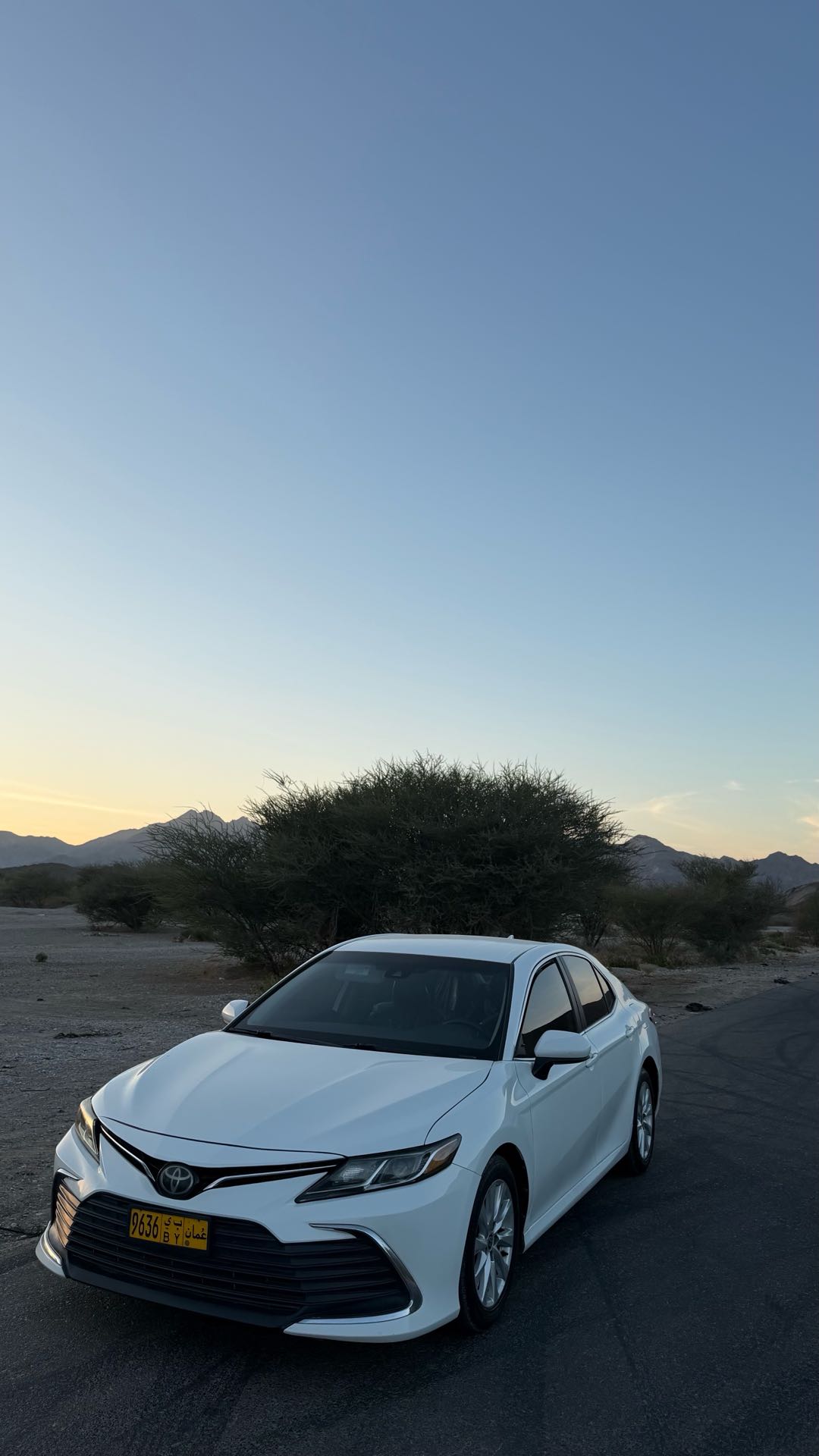 Car Image 2020 TOYOTA CAMRY LE