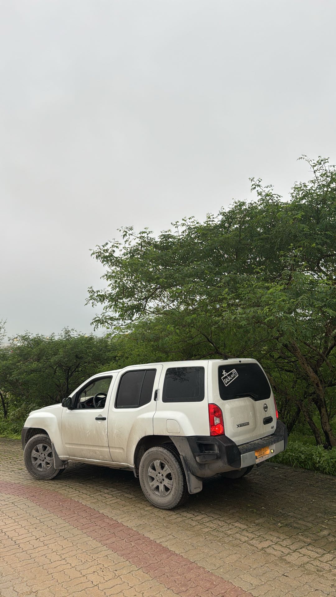 Car Image 2009 NISSAN XTERRA 