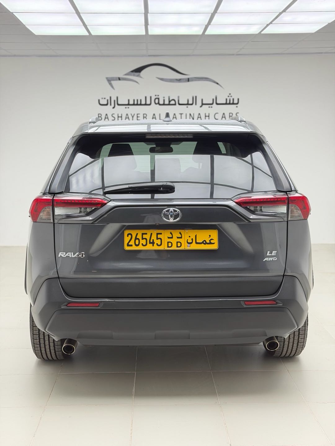 Car Image 2019 TOYOTA RAV4 LE