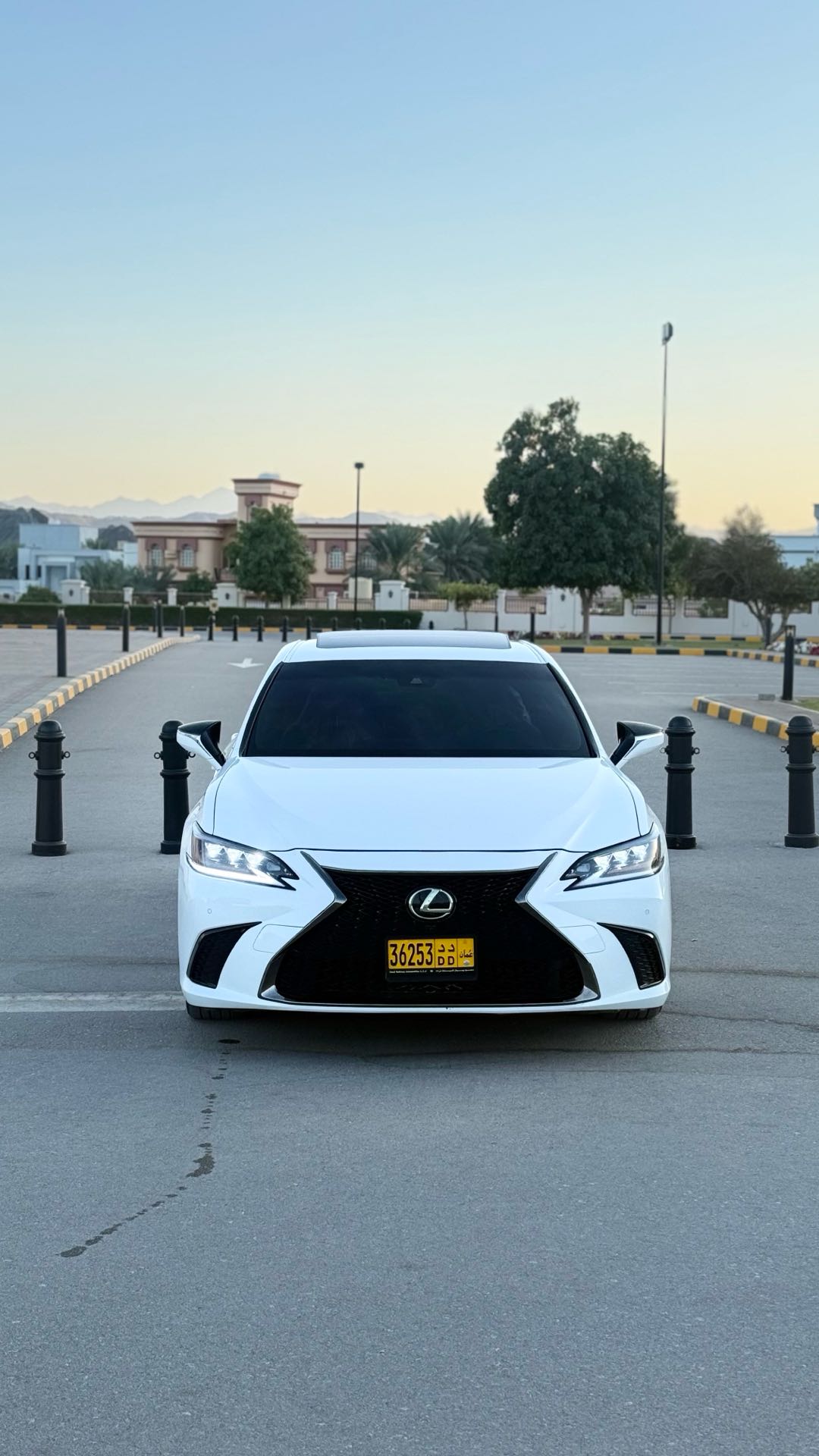Car Image 2019 LEXUS ES 350