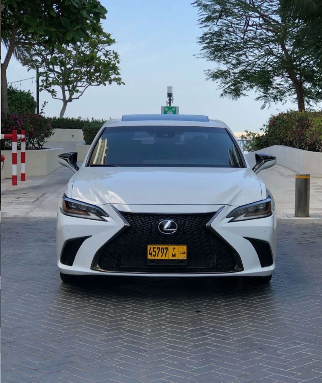 Car Image 2020 LEXUS ES F350