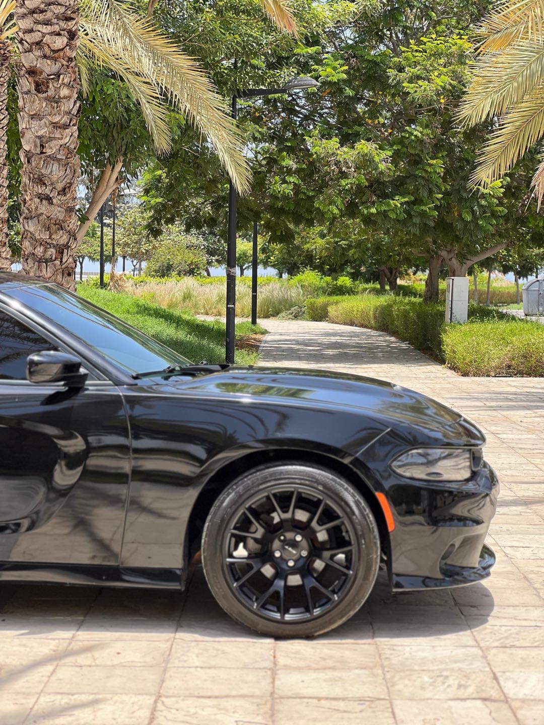 Car Image 2020 DODGE CHARGER SXT