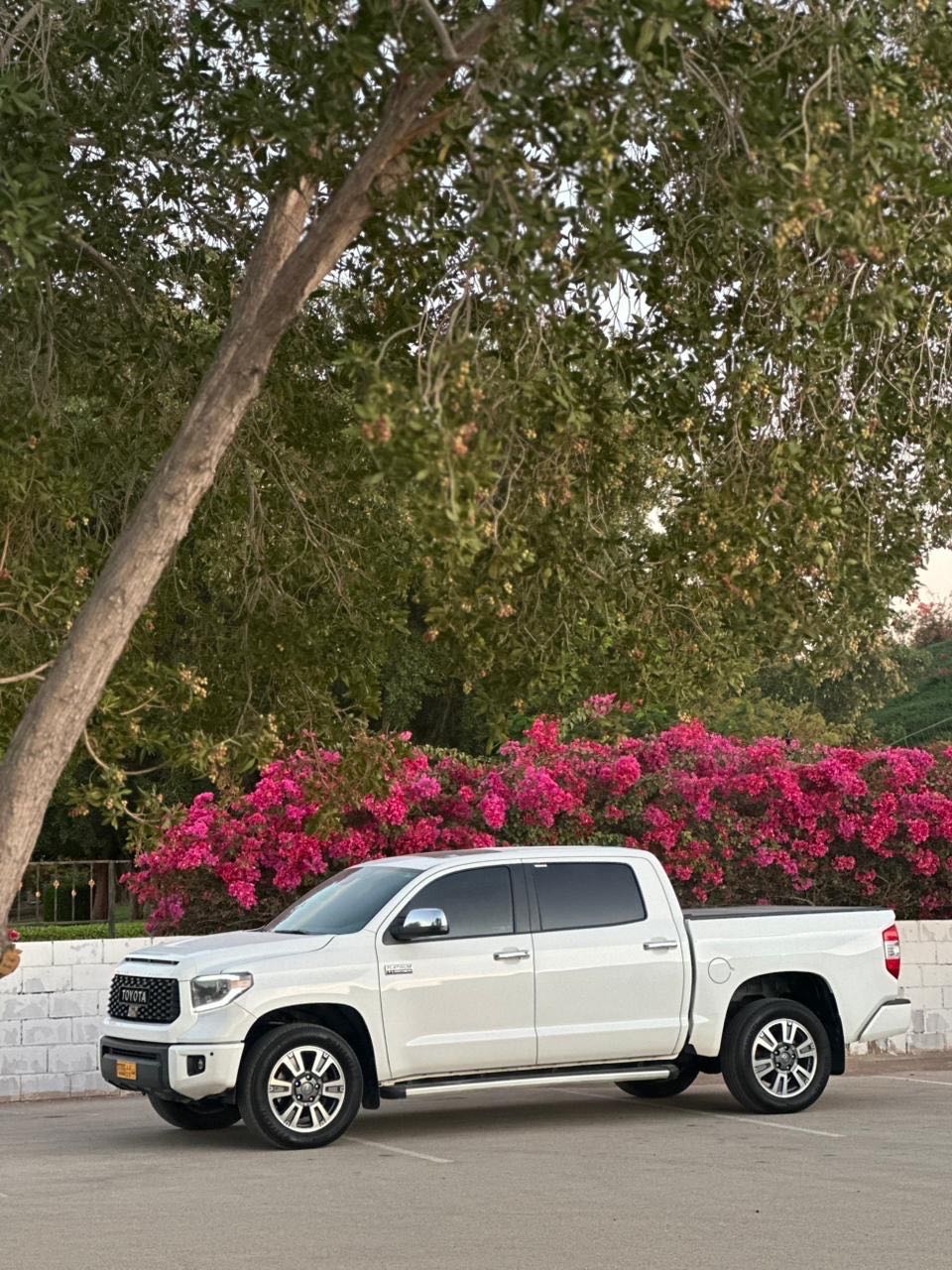 Car Image 2019 TOYOTA TUNDRA PLATINUM