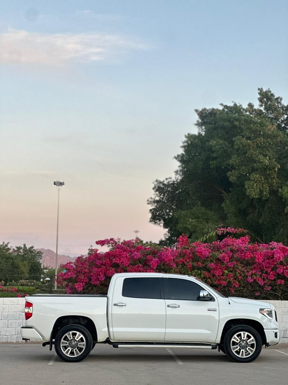 Car Image 2019 TOYOTA TUNDRA PLATINUM