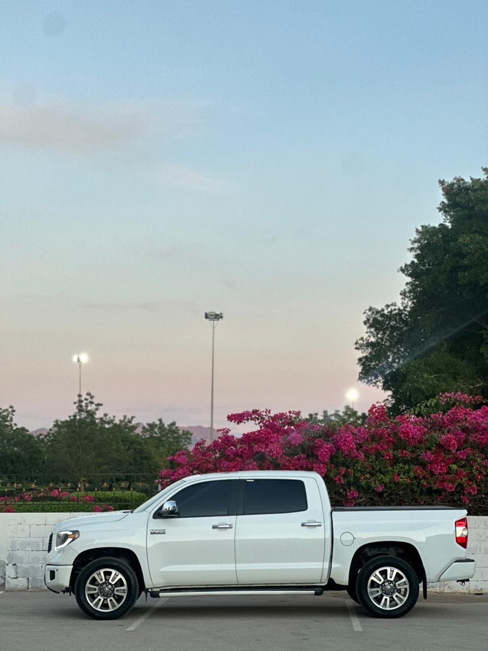 Car Image 2019 TOYOTA TUNDRA PLATINUM