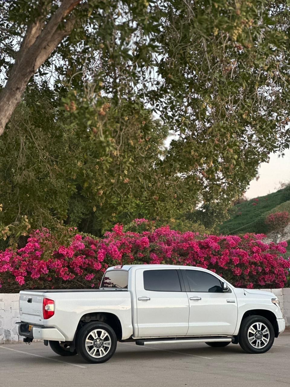 Car Image 2019 TOYOTA TUNDRA PLATINUM