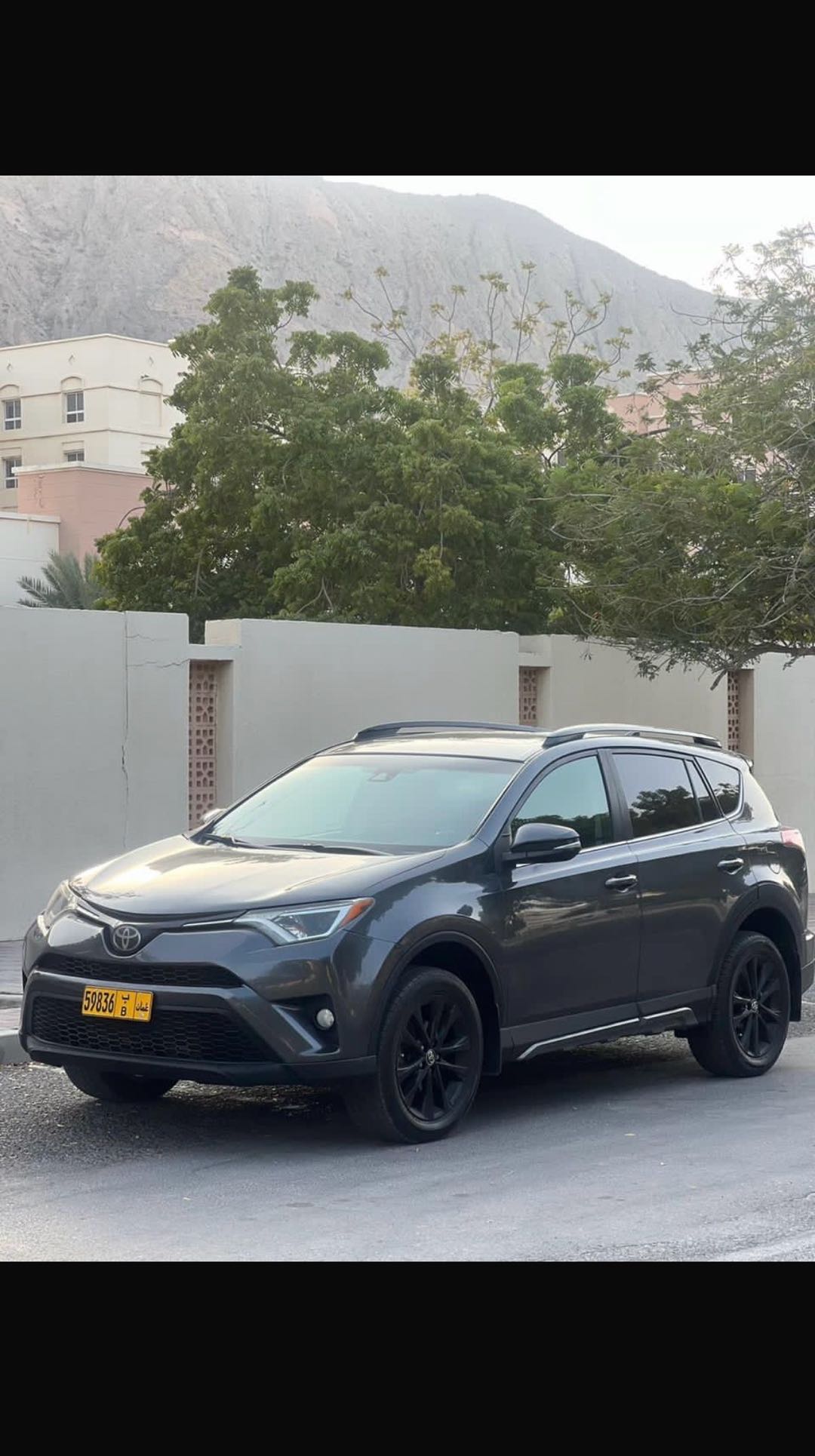 Car Image 2018 TOYOTA RAV4 LIMITED