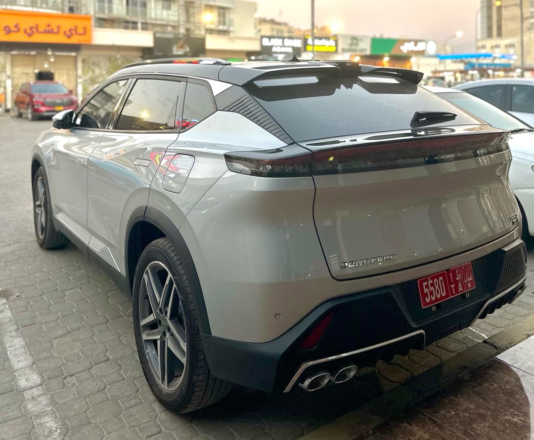 دونغفنغ IX5 2026
