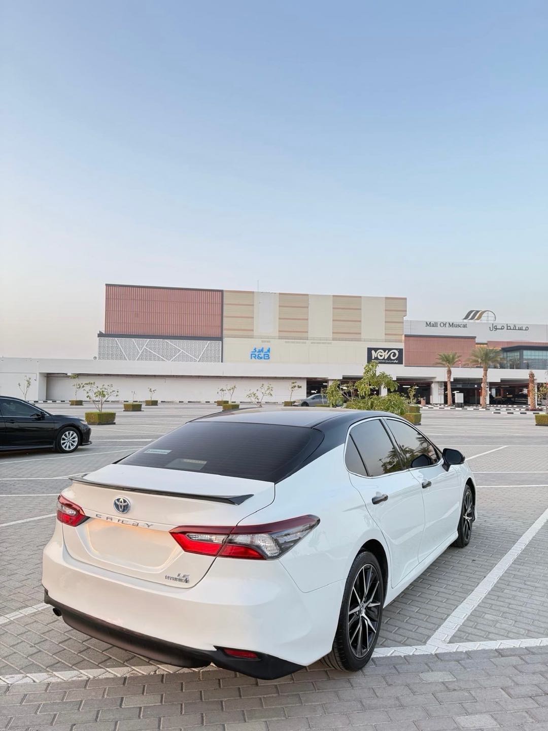 TOYOTA CAMRY 2022
