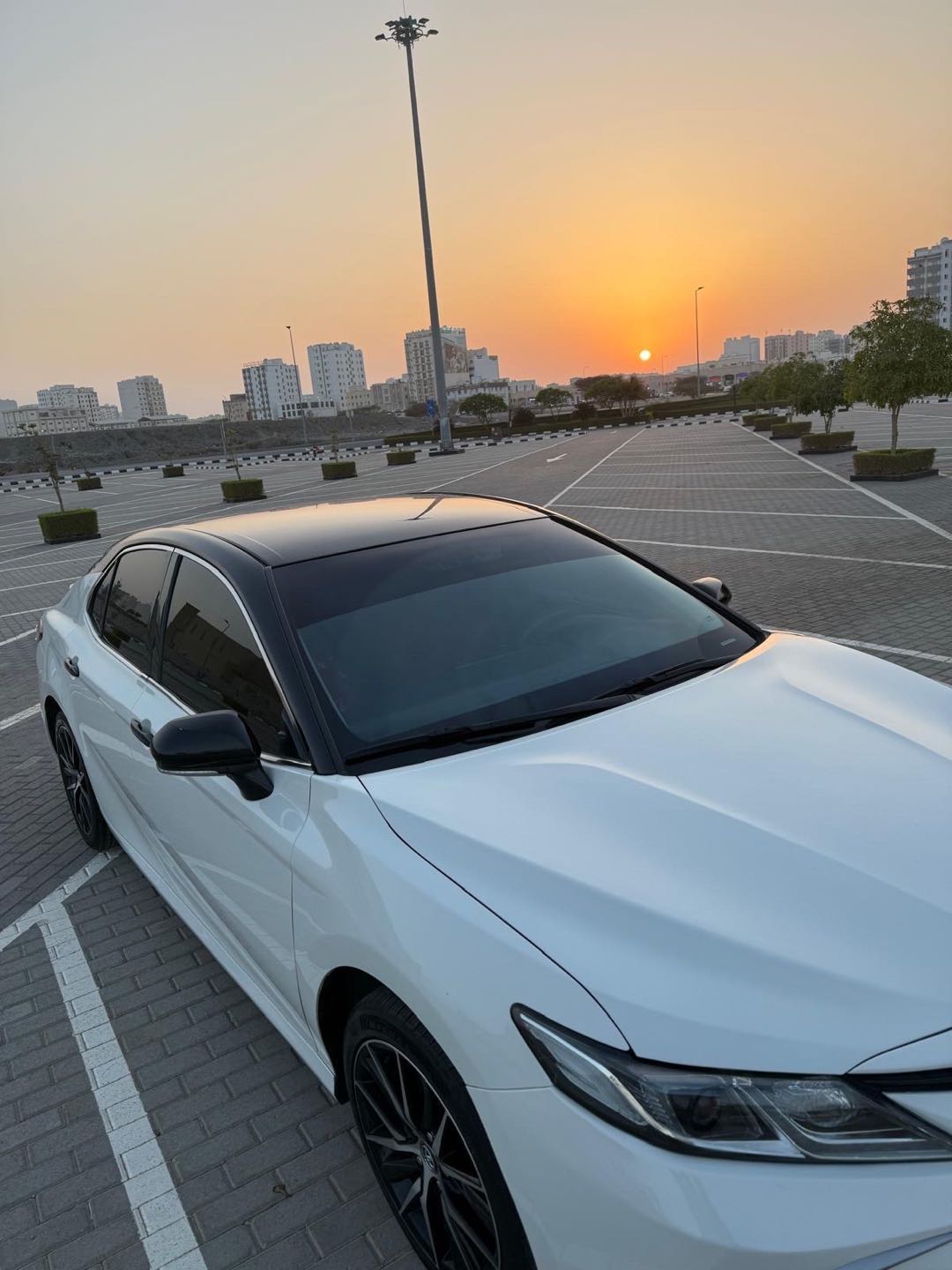 TOYOTA CAMRY 2022