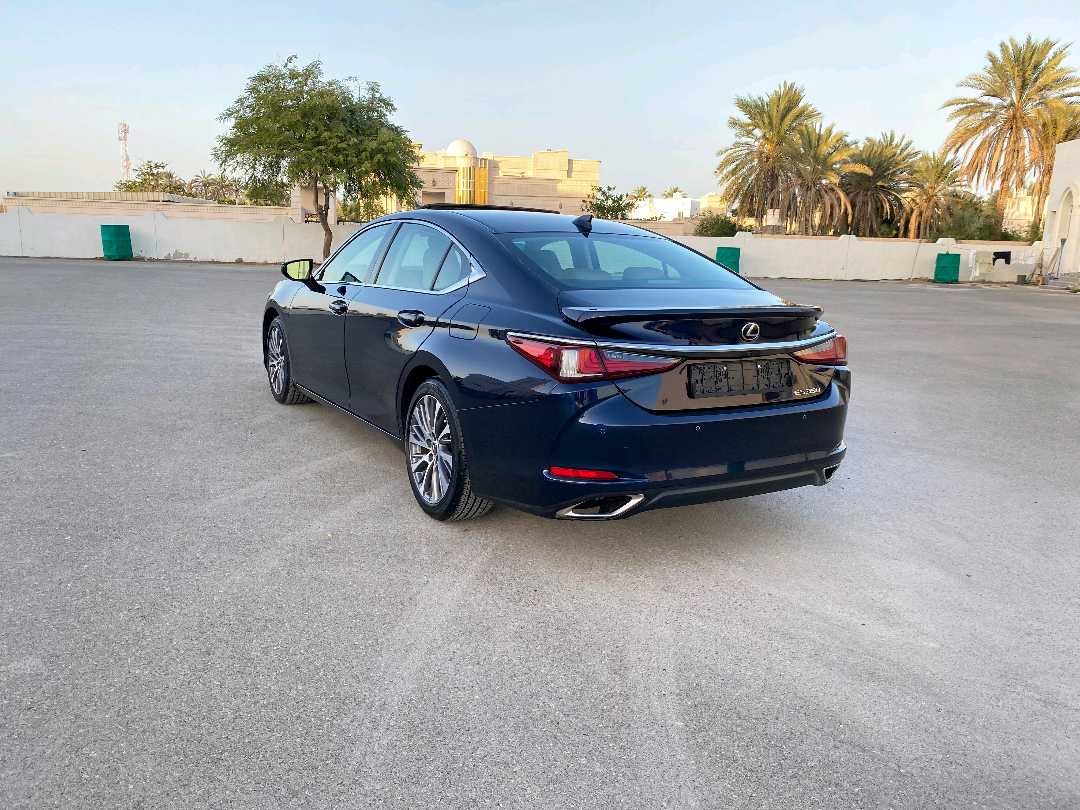 Car Image 2019 LEXUS ES 350