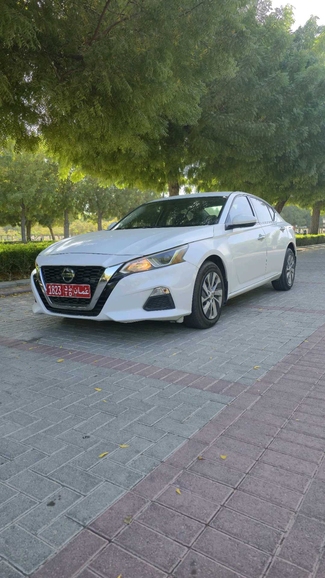 NISSAN ALTIMA 2022