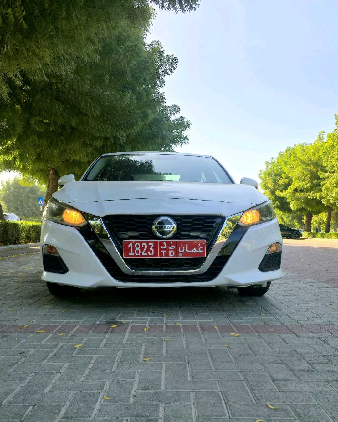 NISSAN ALTIMA 2022