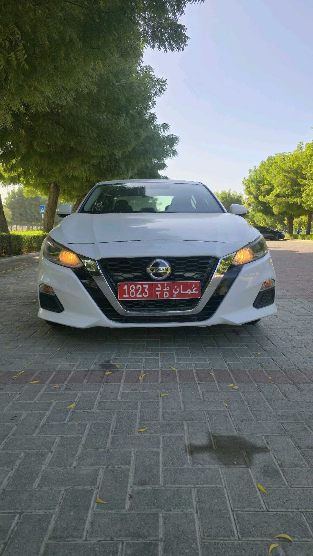 NISSAN ALTIMA 2022