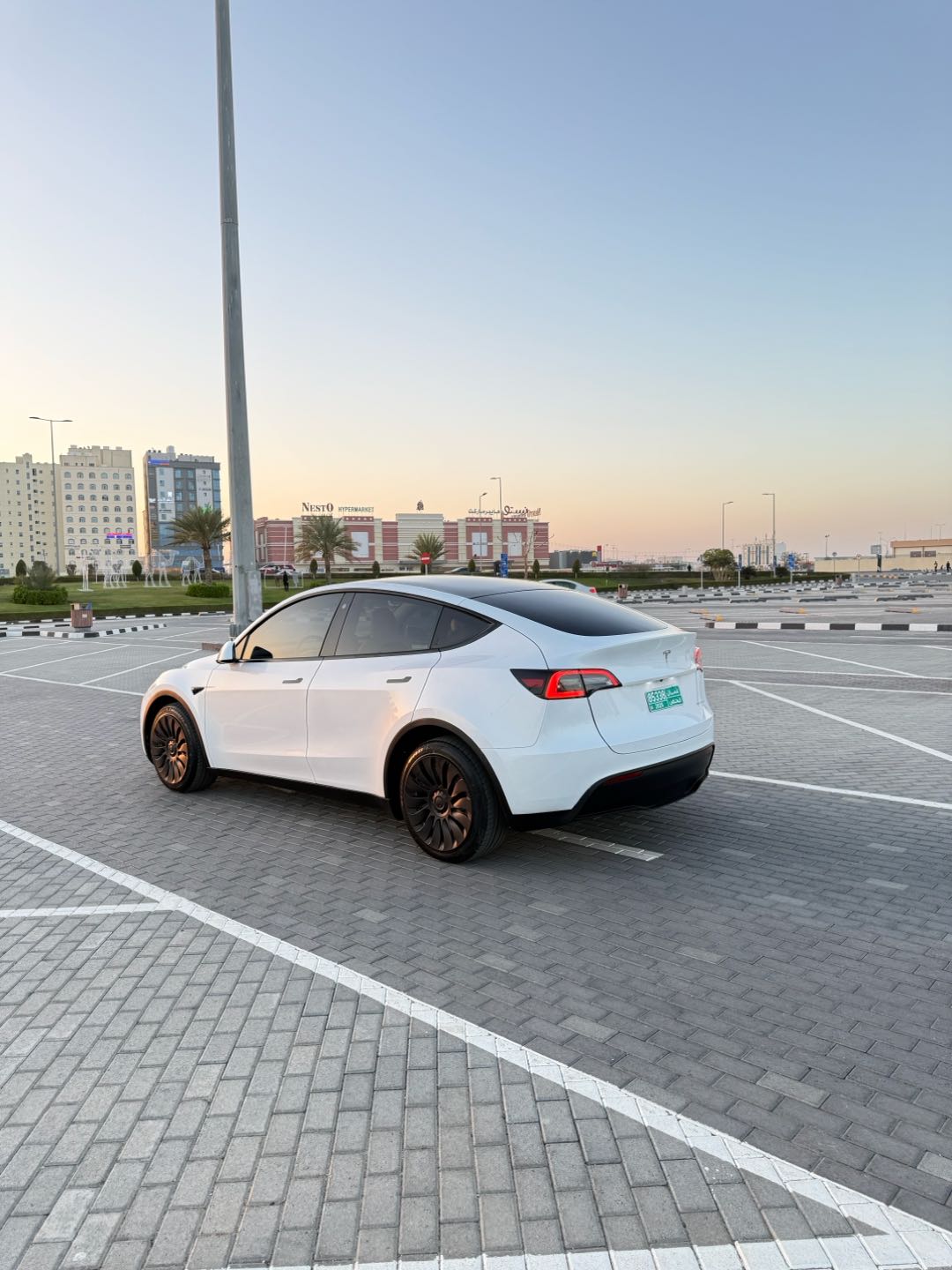 Car Image 2023 TESLA Model Y 