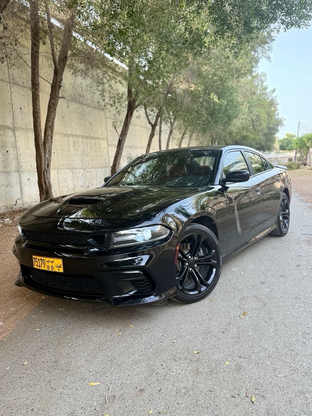 Car Image 2020 DODGE CHARGER R/T