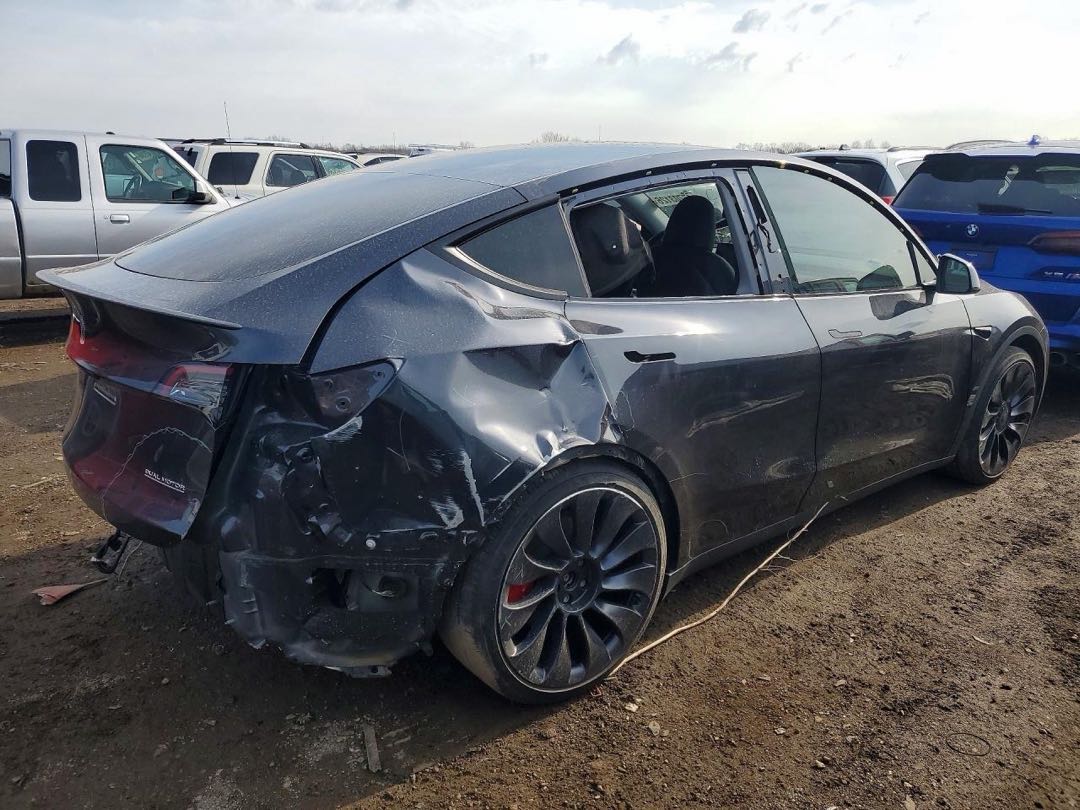 Car Image 2024 TESLA Model Y