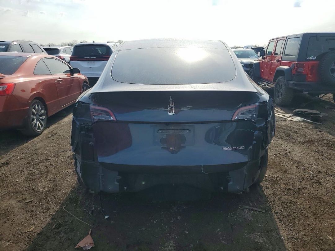 Car Image 2024 TESLA Model Y