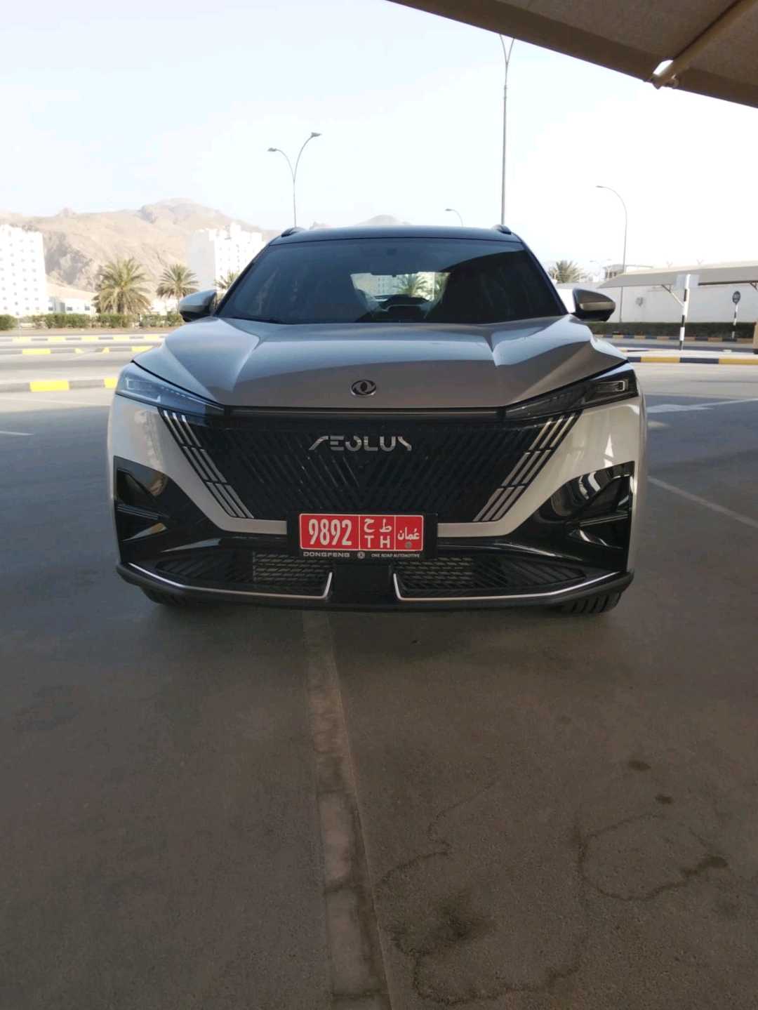 دونغفنغ IX5 2026