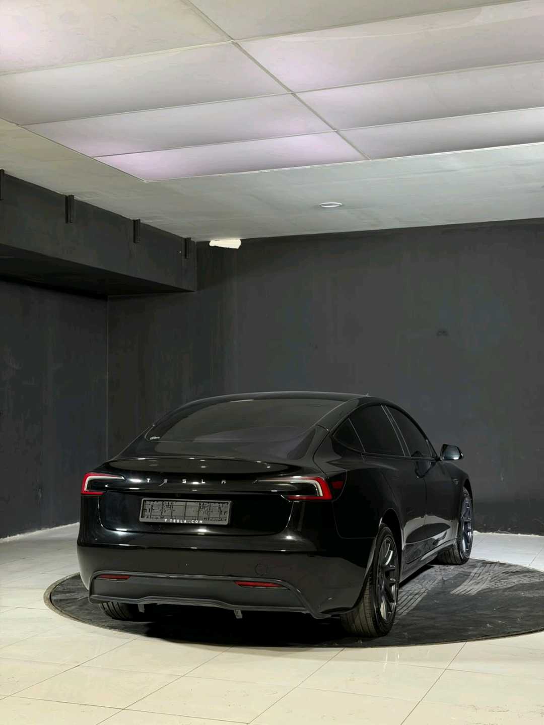 Car Image 2025 TESLA Model 3