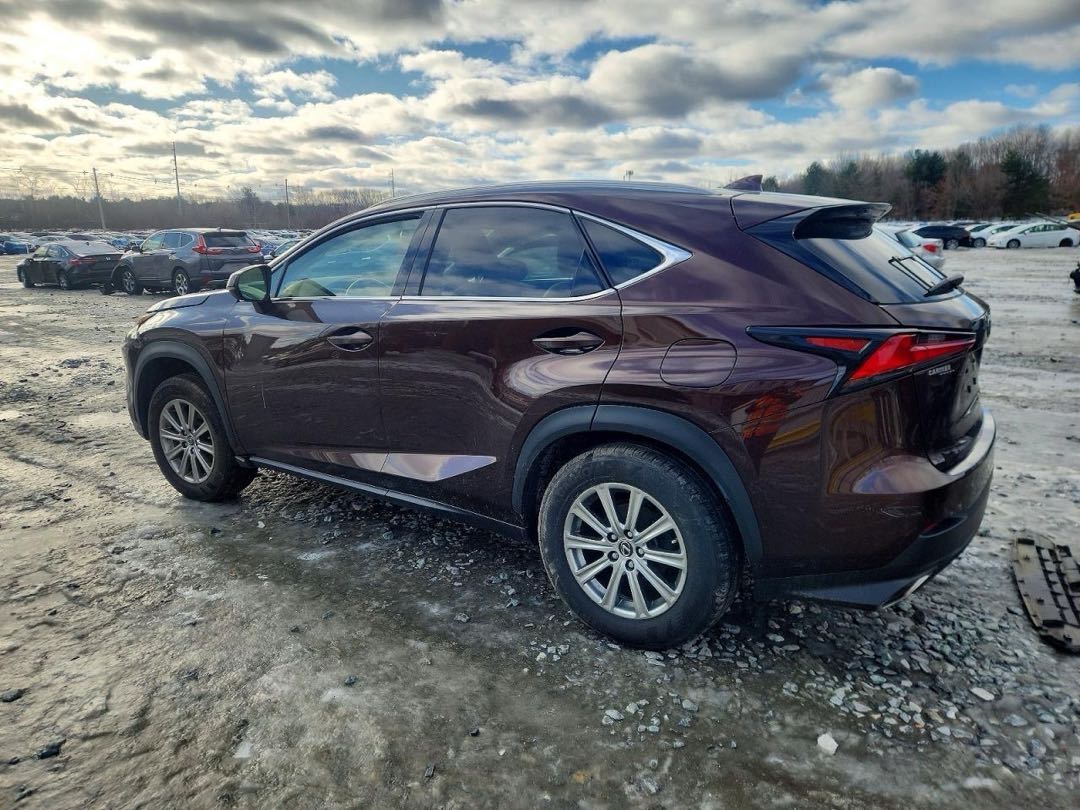 Car Image 2019 LEXUS NX
