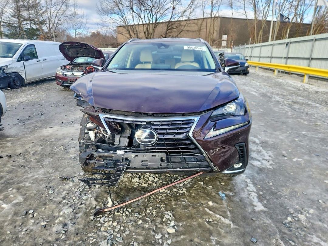 Car Image 2019 LEXUS NX
