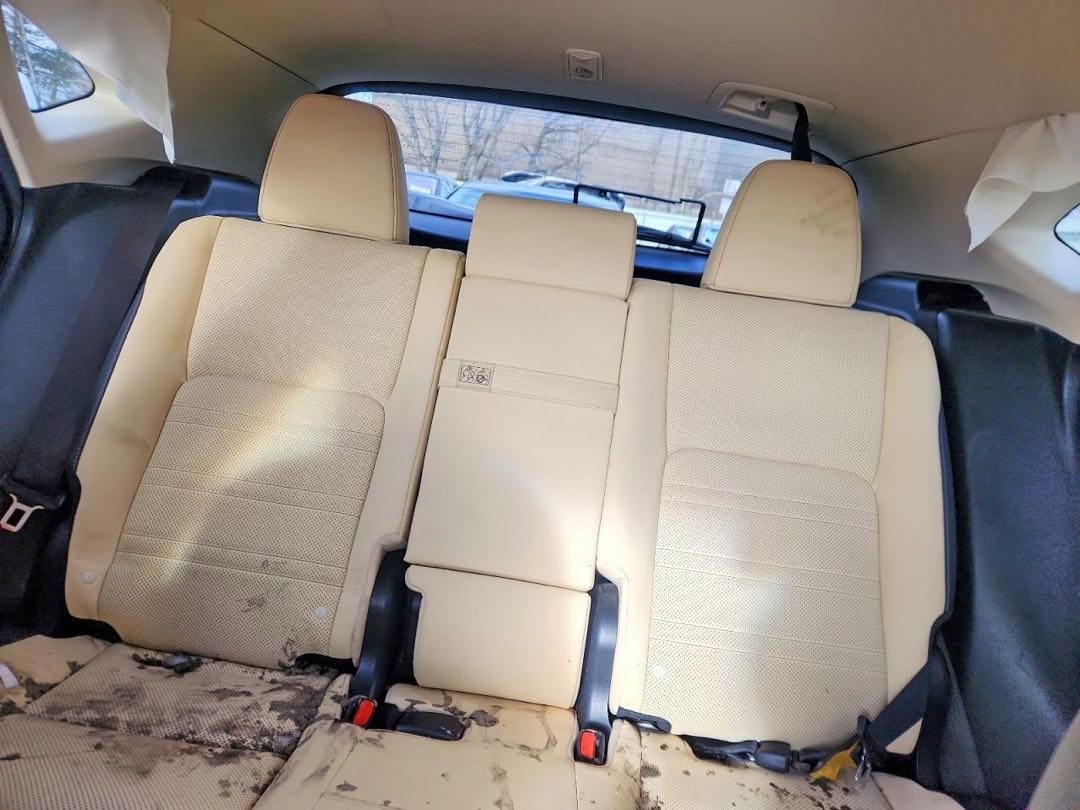 Car Image 2019 LEXUS NX