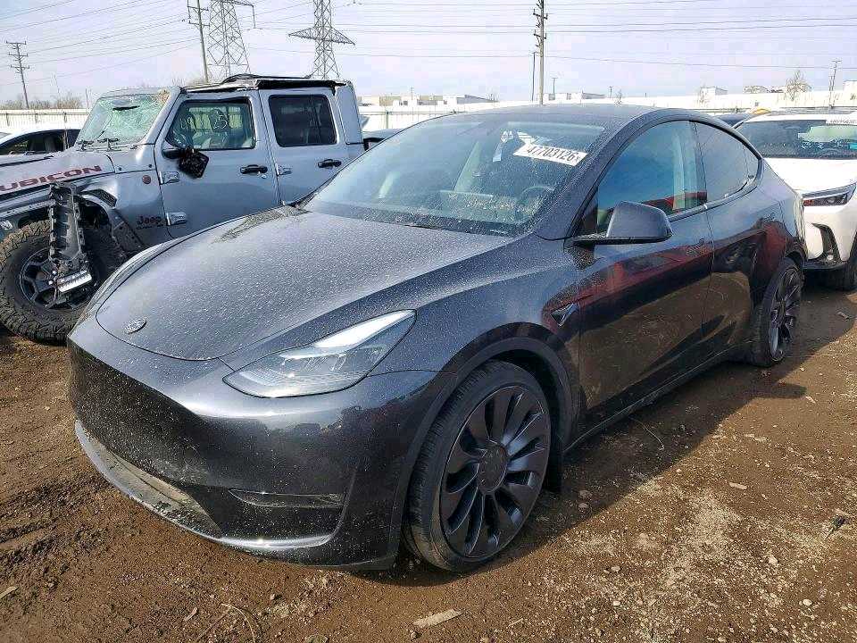 TESLA Model Y 2024