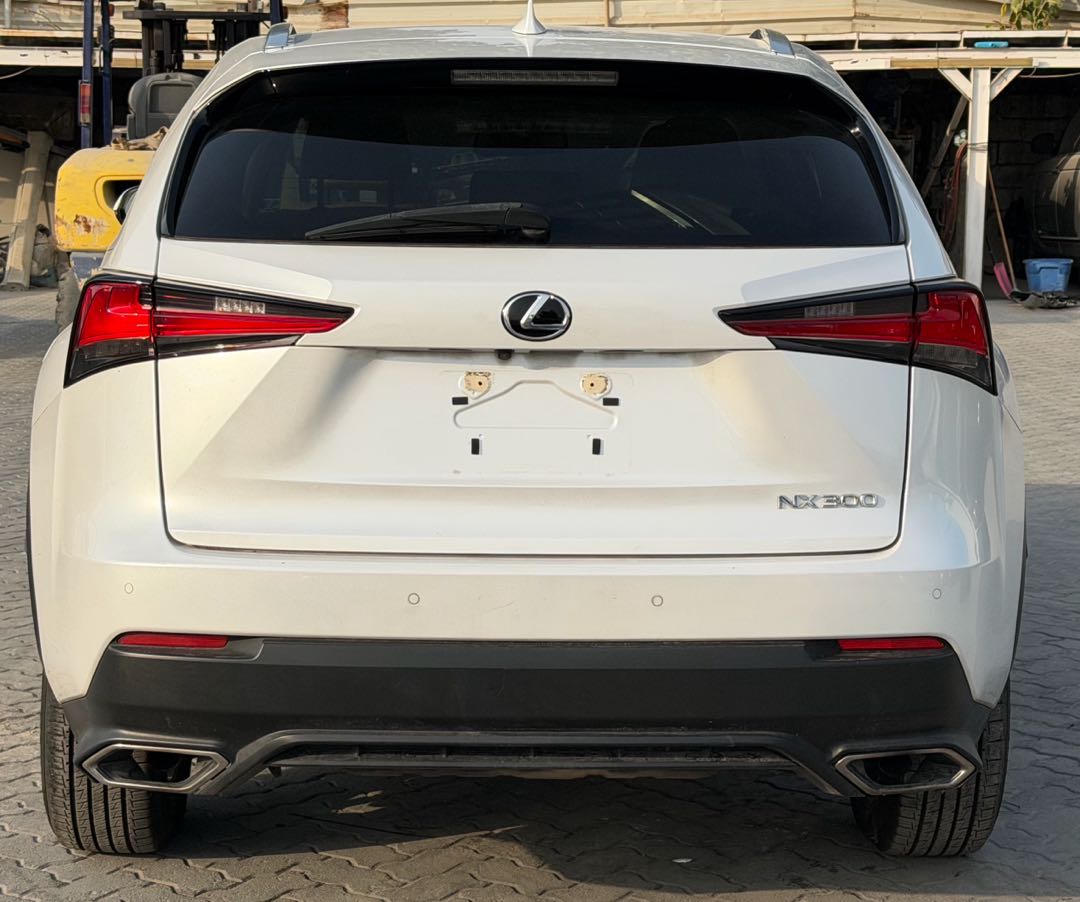 Car Image 2020 LEXUS NX