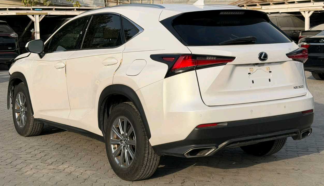 Car Image 2020 LEXUS NX