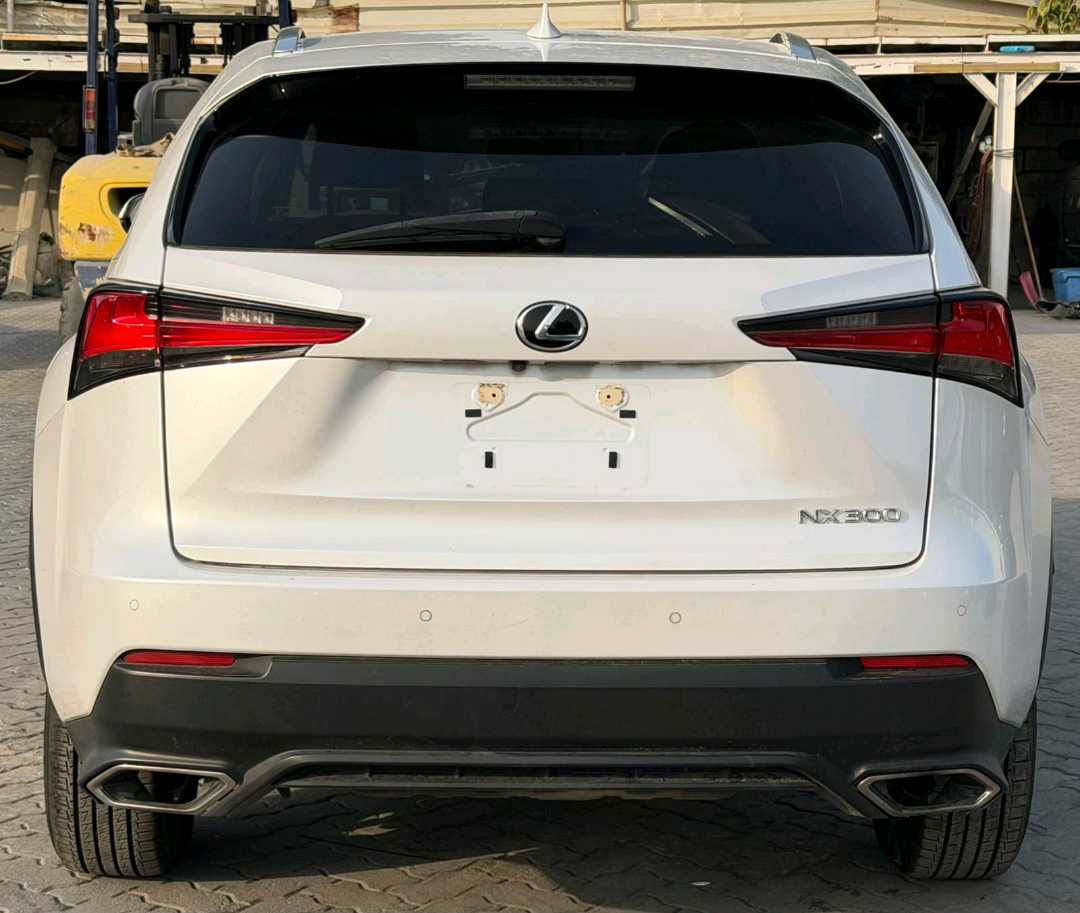 Car Image 2020 LEXUS NX