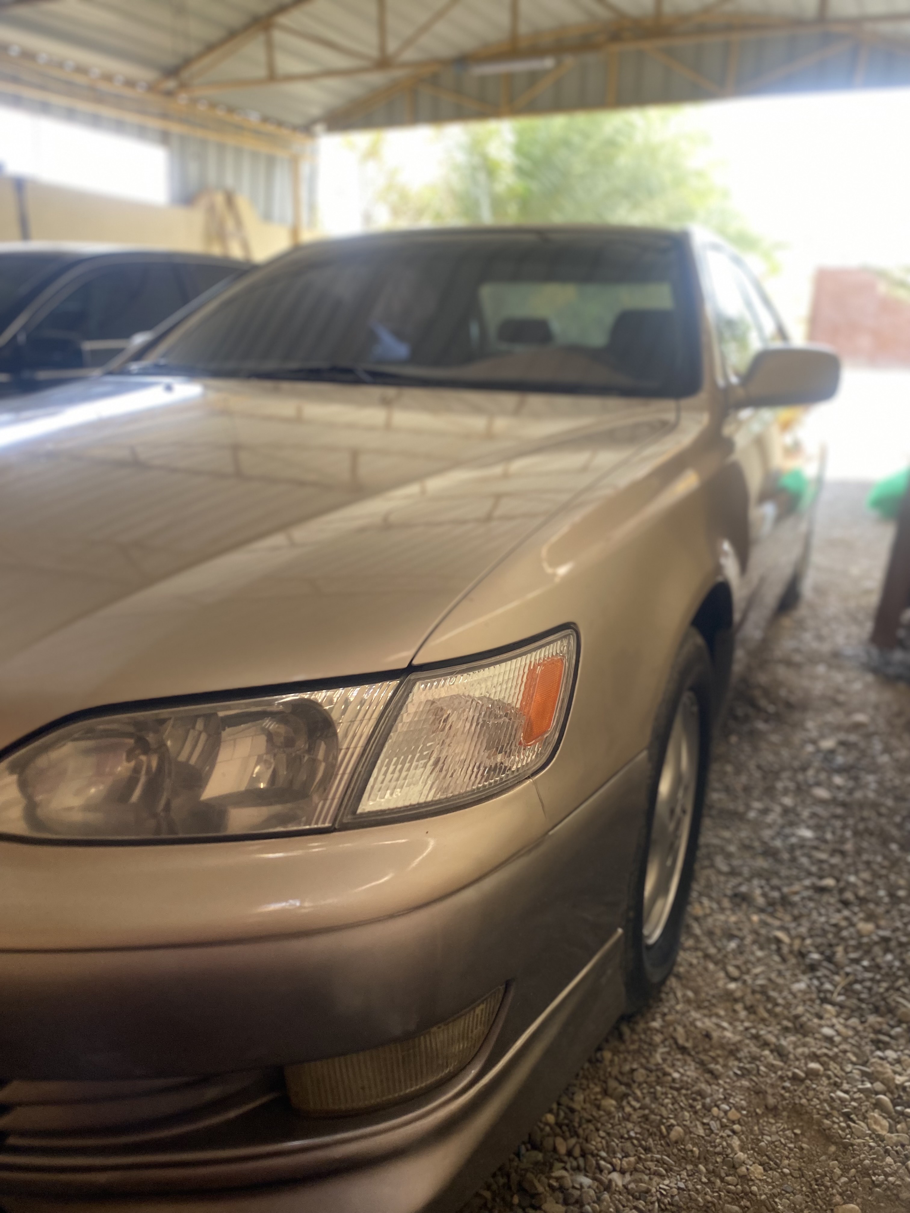 seller avatar